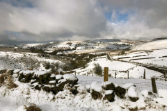 View from Flash in snow 3