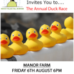 Flash Village Duck Race