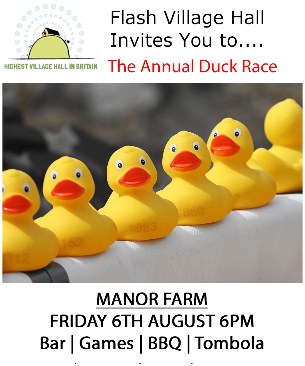 Flash Village Duck Race